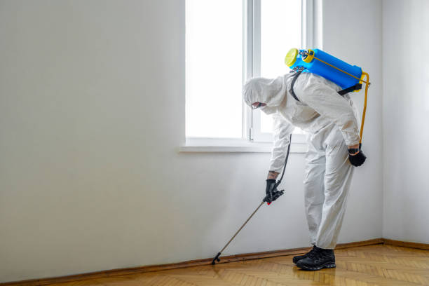 Best Pest Removal Services  in Little Elm, TX