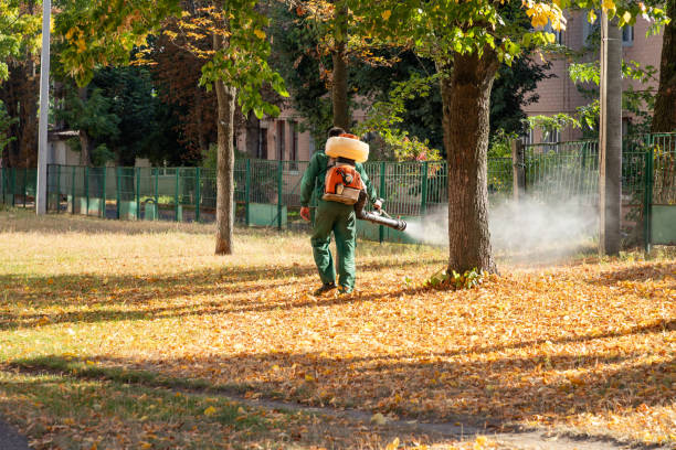 Little Elm, TX Pest Control Company
