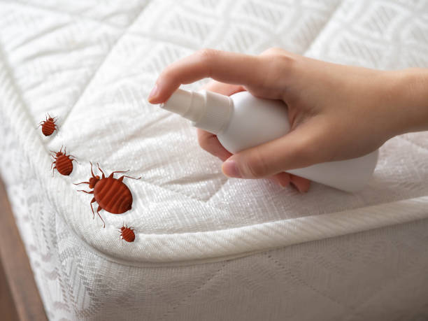 Best Pest Removal Services  in Little Elm, TX