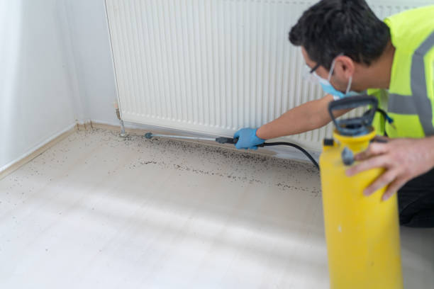 Best Best Pest Control Companies  in Little Elm, TX